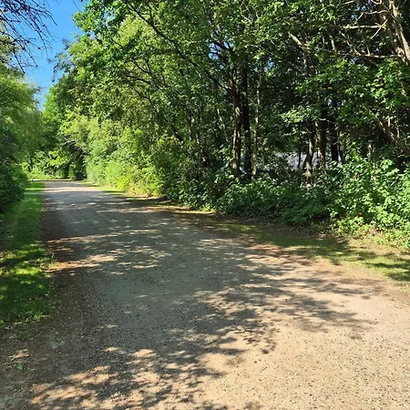 6 Person In Ansager-by Traum * Ansager