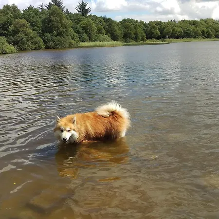 6 Person In Ansager-by Traum Semesterbostad *
